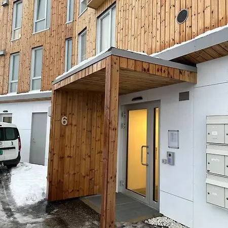 Lovely And Exclusive Northern Lights With Excellent View. *